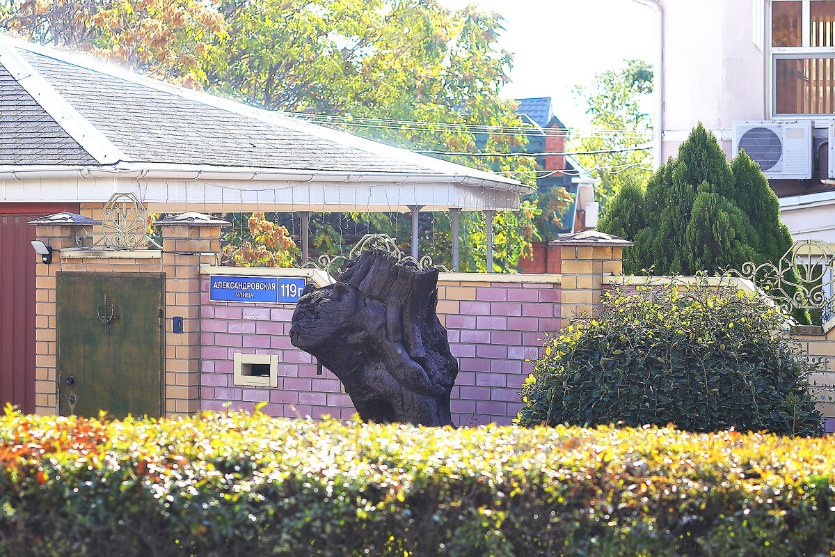 Медведь - Юрий Гайворонскiий