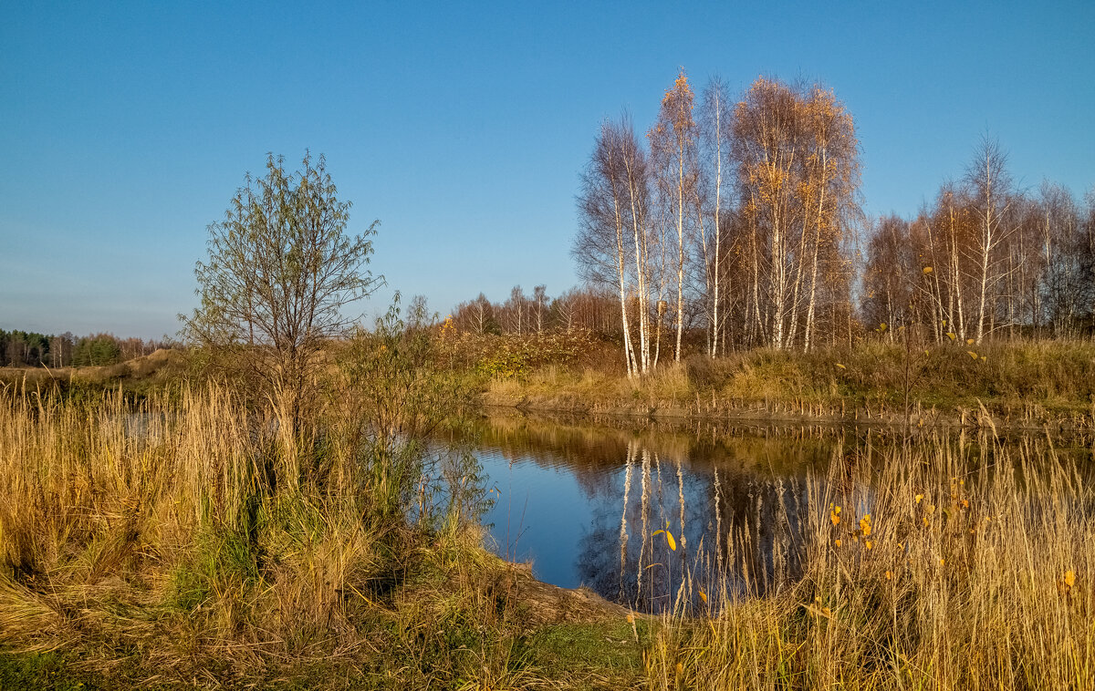 Осень не сдаётся 2 - Андрей Дворников