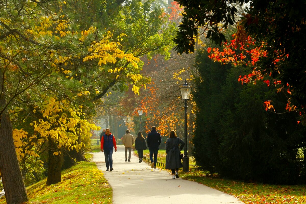 Лихтентайлер аллея ,ноябрь - Юрий. Шмаков