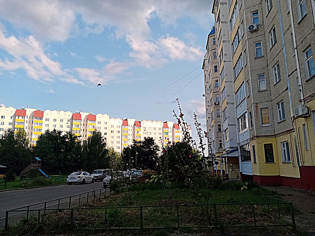 Мценск летом. - Владимир Драгунский