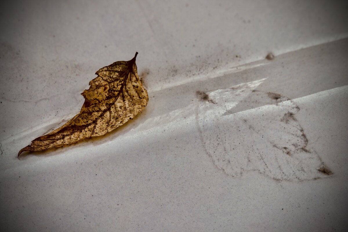 Наследил… - Любовь 