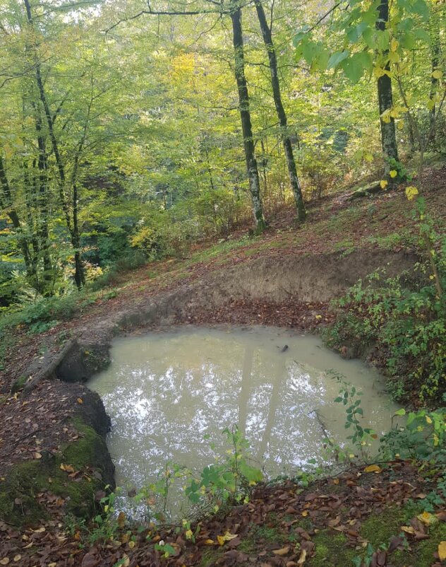 ПЛАСТУНКА - СОЧИ - Tata Wolf