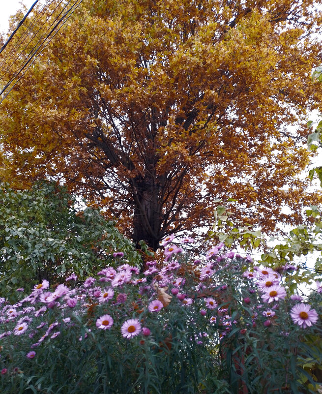 *** - Валентина Береснева