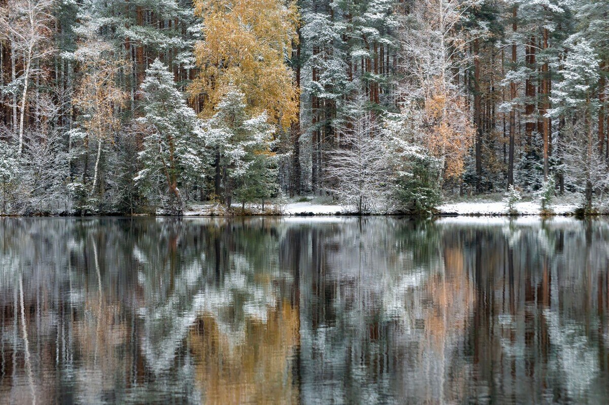 Припорошило....... - Юрий Цыплятников