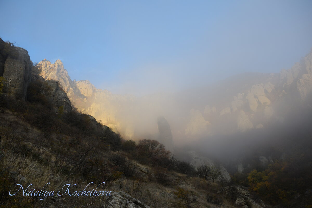 Природа Крыма - Amazing Cosmea