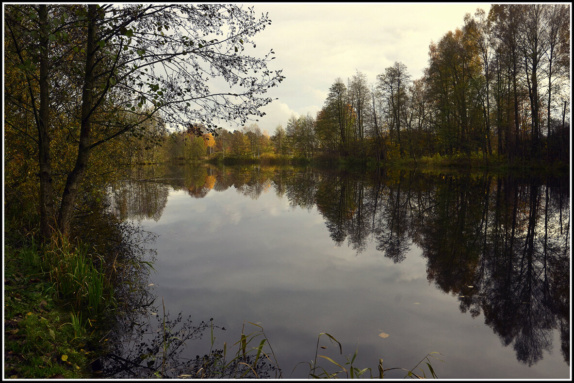 Ноябрь - Aleksandr Gal