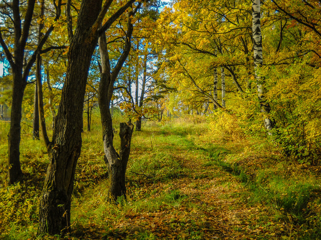 *** - Андрей Андрианов