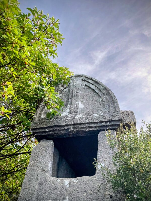 Турецкий поход - Георгиевич 