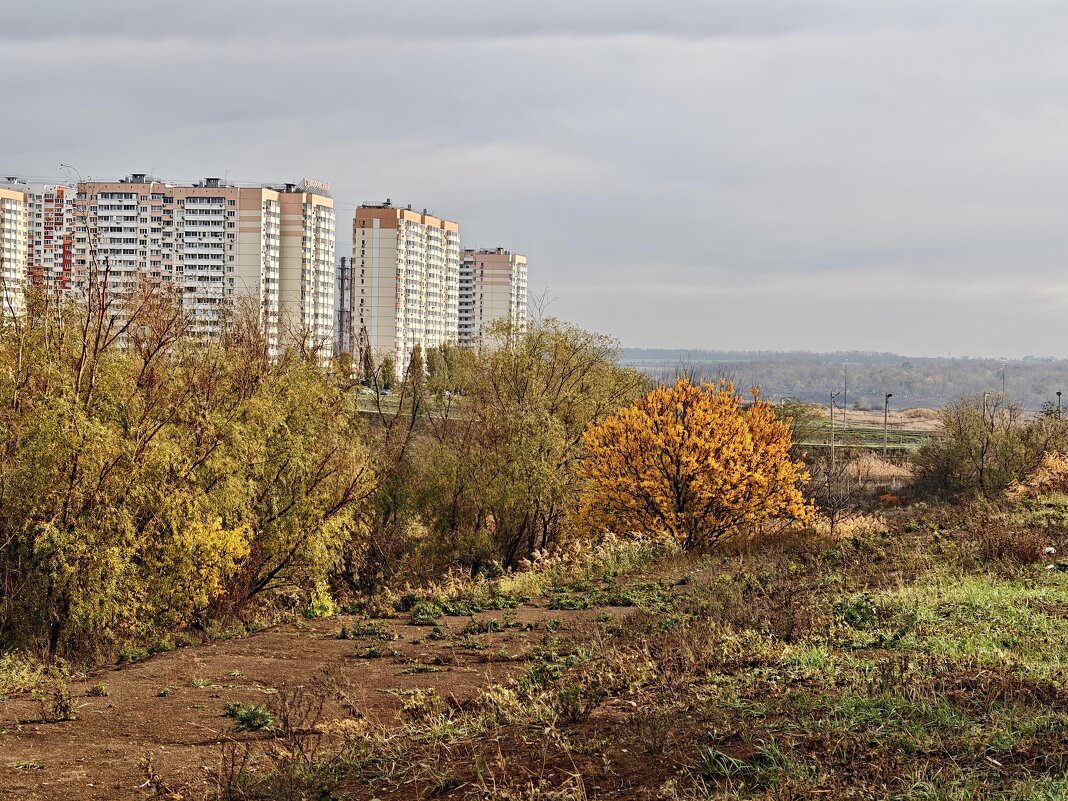 Ростовские зарисовки - Александр Гапоненко