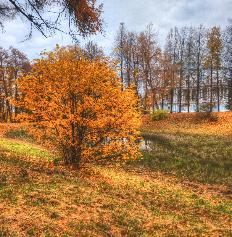 *** - Сергей Григорьев