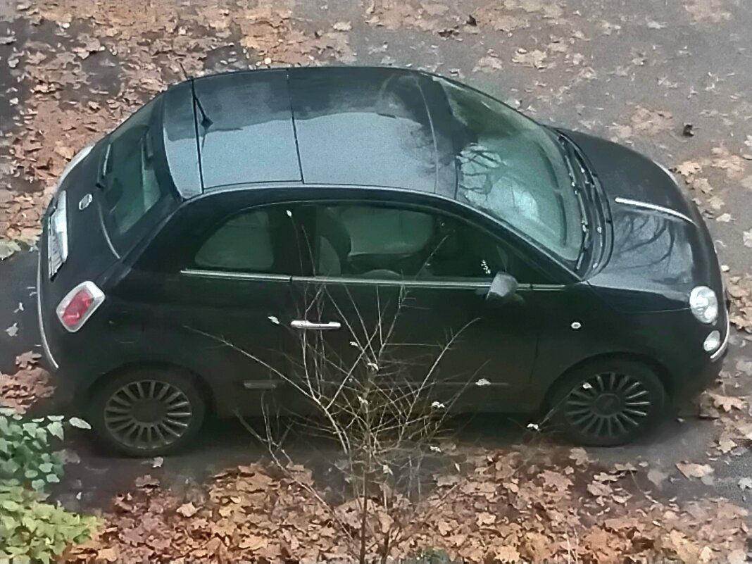 Чёрный FIAT 500 - Дмитрий Никитин