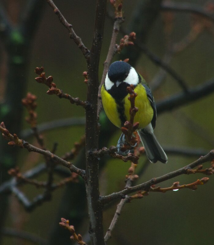 Ноябрь... - Юрий Куликов