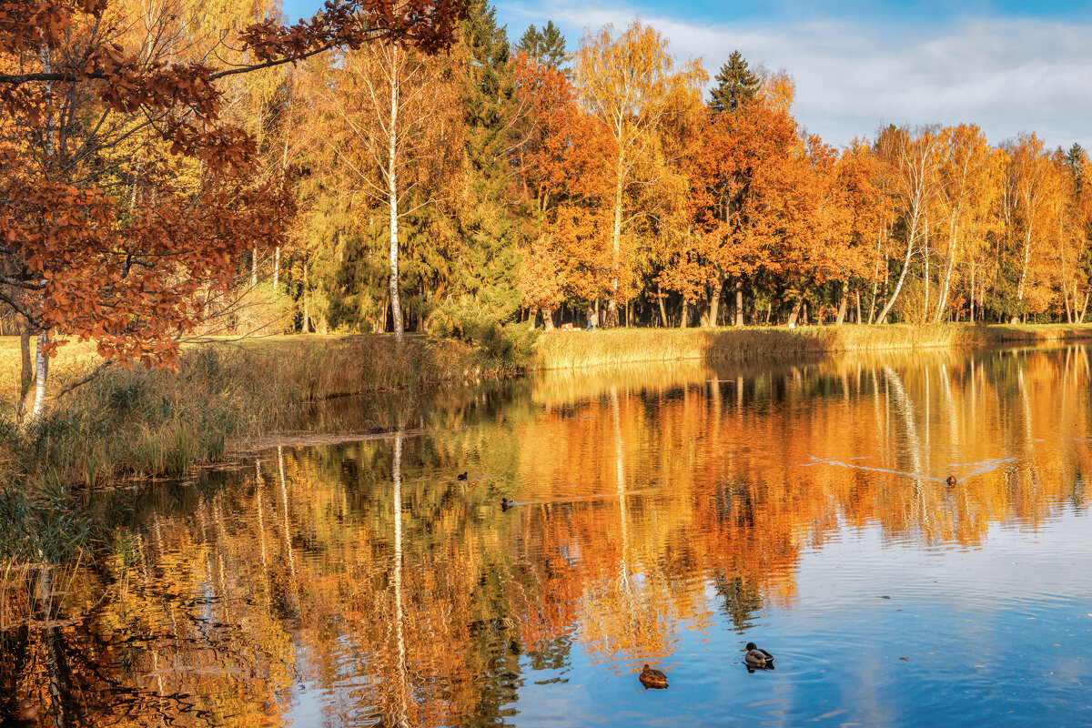 Осень - Владимир Колесников