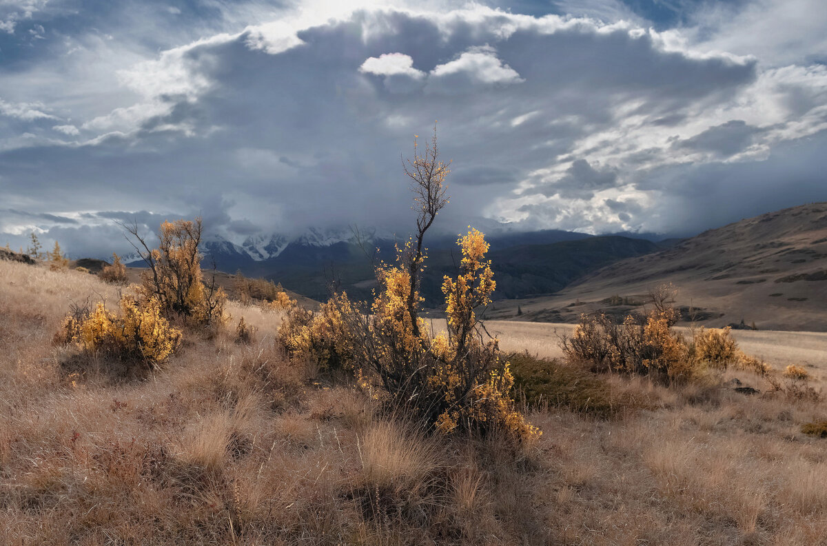 Осенние огоньки - Марина Фомина. Осенние огоньки - Марина Фомина.