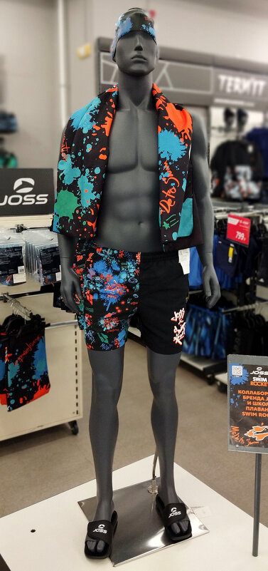 Пловец - Радмир Арсеньев