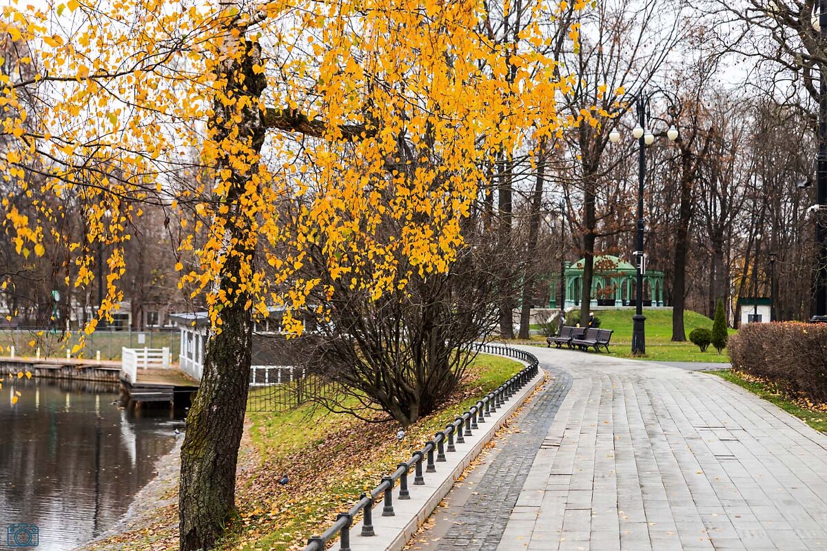 В парке - Александр 