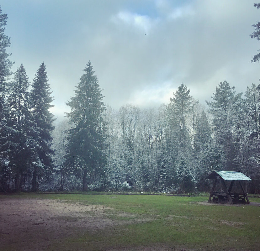 Припорошило.. - Татьяна 