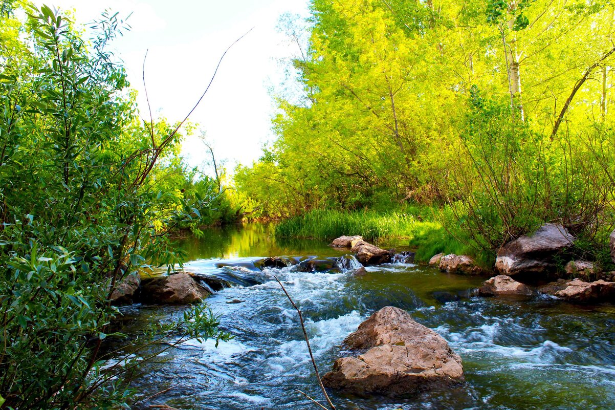 природа - Гульфина Булатова