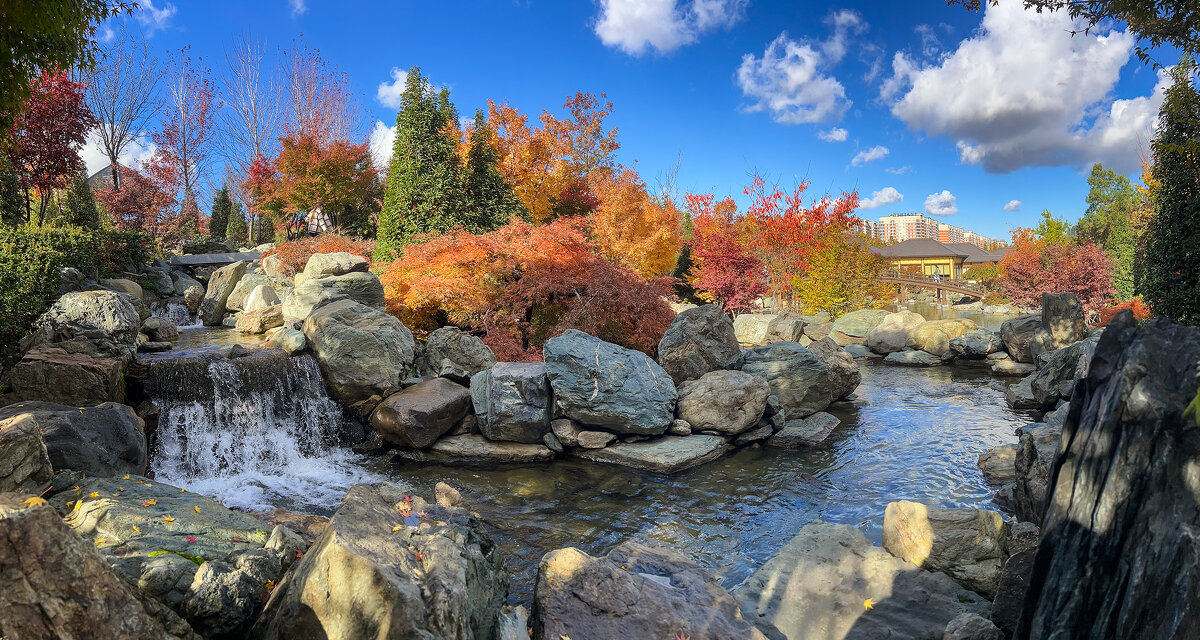 Краснодар. Парк Галицкого . Японский сад - Galina 