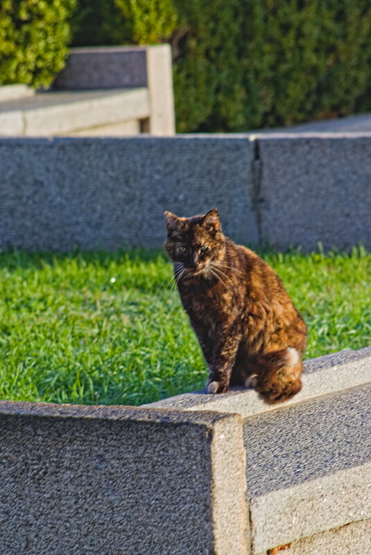 Охраник памятника - Giant Tao / Охраник памятника - Giant Tao /