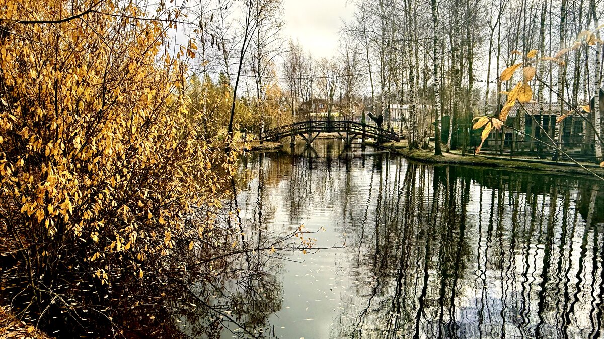 «…и в поздней осени своя есть красота.» - Арина Невская