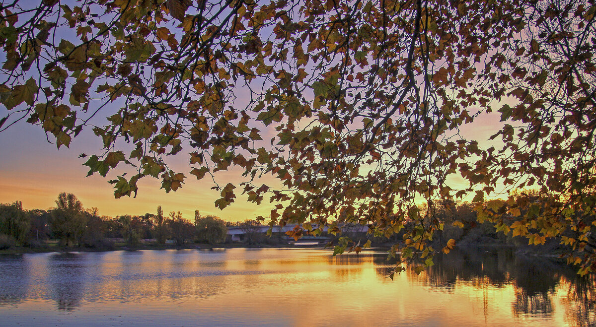 ****** - Андроник Александр 