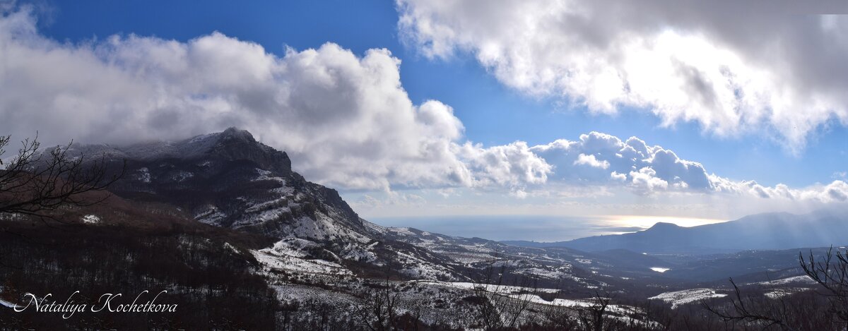 Природа Крыма - Amazing Cosmea