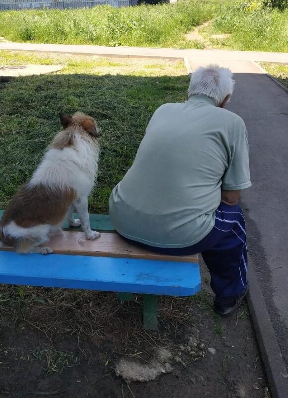 Друзья-товарищи. - Владимир Волик