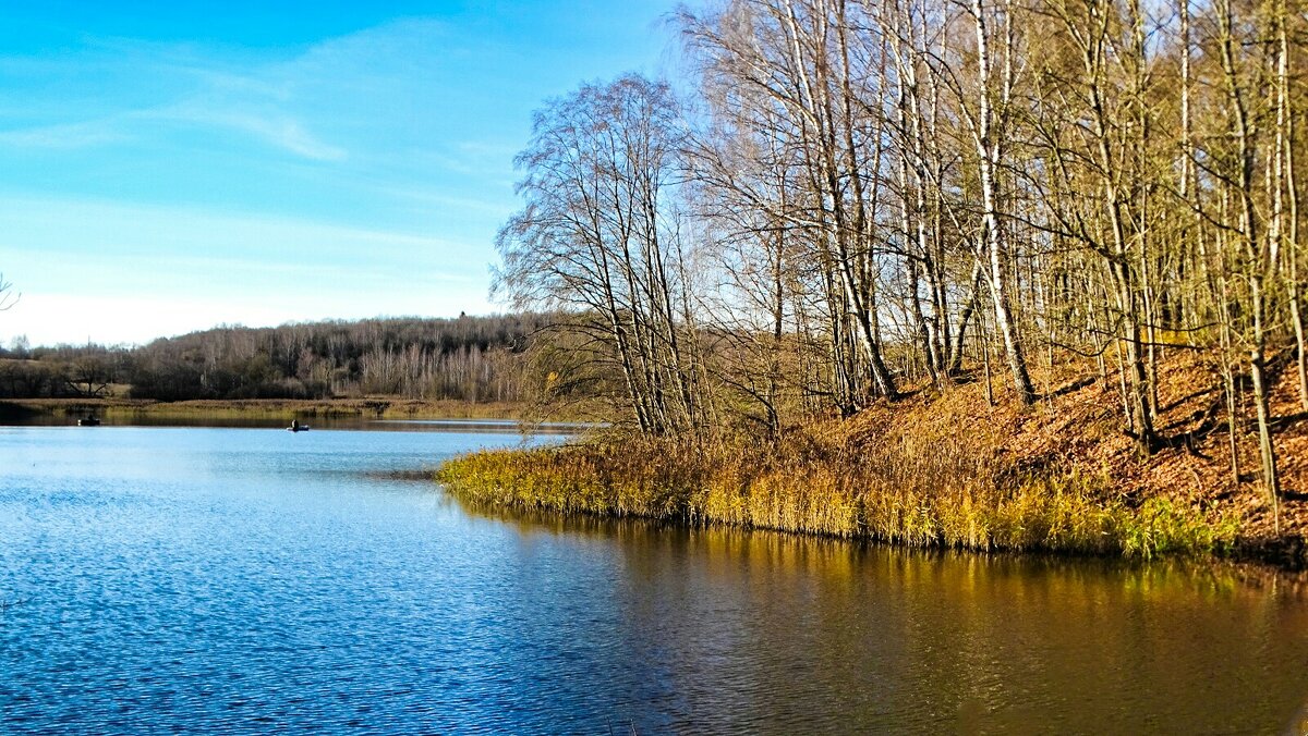 Солнечный ноябрьский вечер. - Милешкин Владимир Алексеевич Солнечный ноябрьский вечер. - Милешкин Владимир Алексеевич