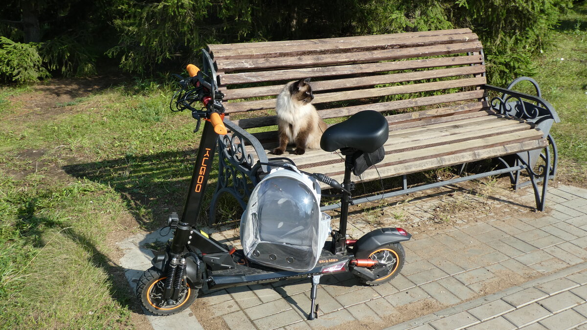 Сима и его ,,космическая капсула для полетов ,, - Вик Токарев