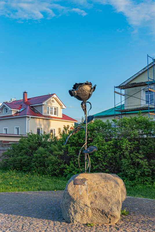 роза - navalon M