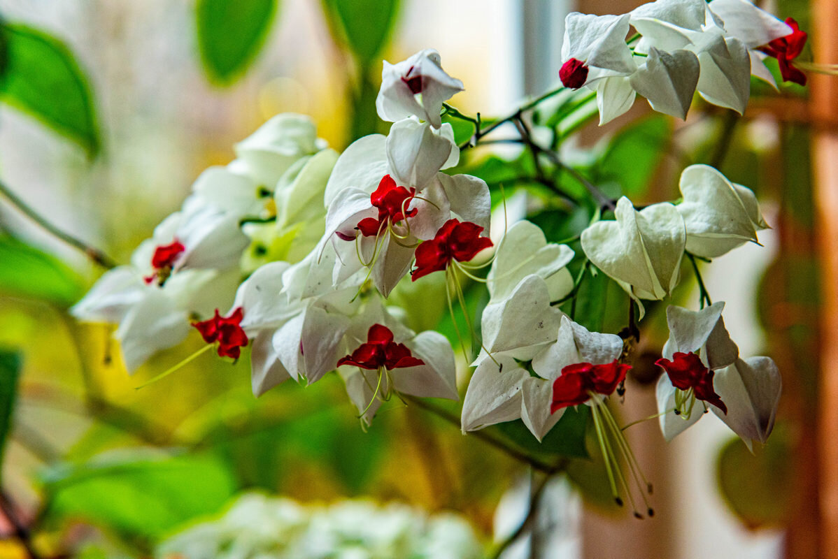 *** - Дмитрий Лупандин