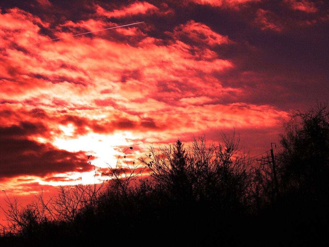 Ноябрьское утро - Людмила Смородинская