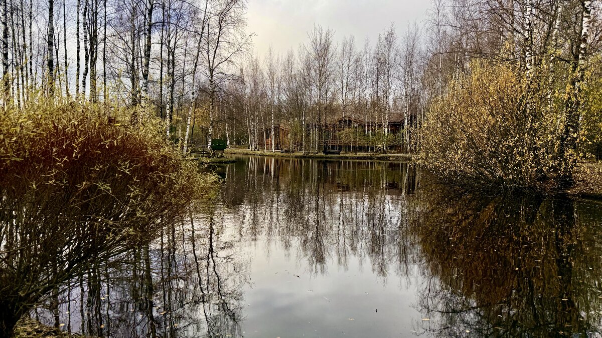 «…и в поздней осени своя есть красота.» - Арина Невская