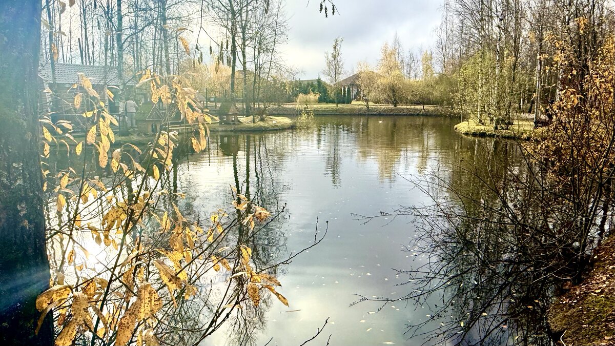 «…и в поздней осени своя есть красота.» - Арина Невская «…и в поздней осени своя есть красота.» - Арина Невская