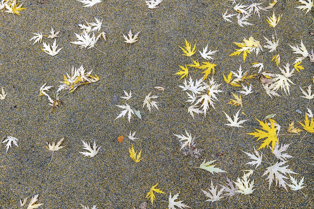 Созвездие Ноябрь - Валерий Иванович