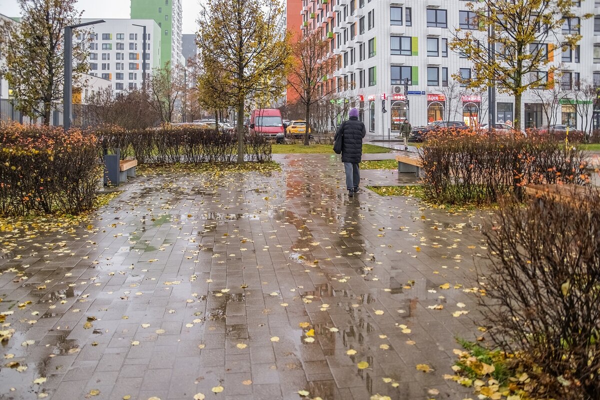 Ноябрь в городе - Валерий Иванович