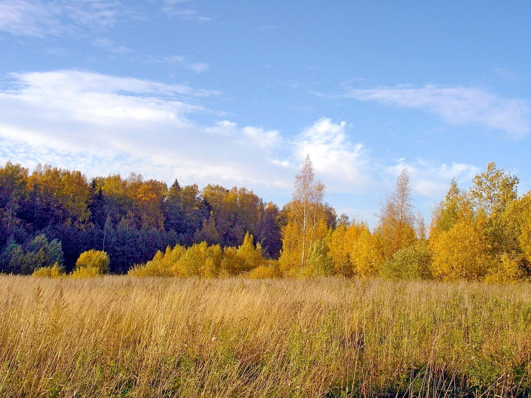 Золотой октябрь. - Лия ☼