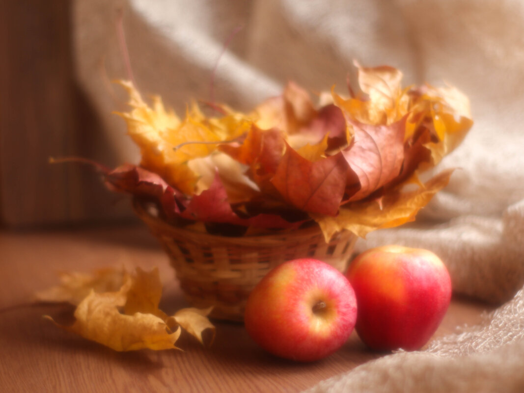 Осенний натюрморт - Irene Irene