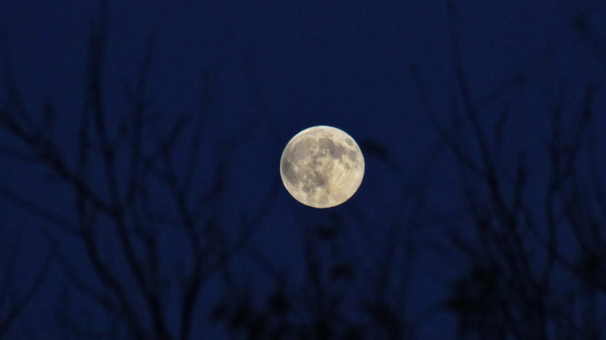 Сыперлуние. - Игорь Родионов