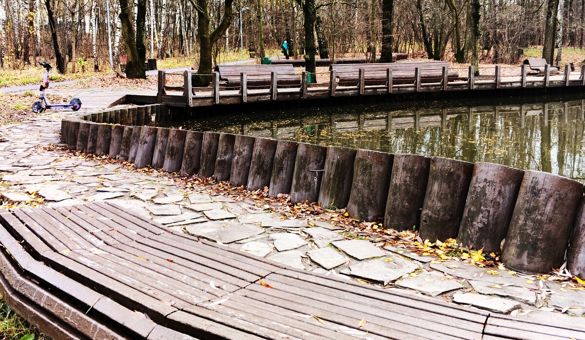 В городском парке. - Василий Палий