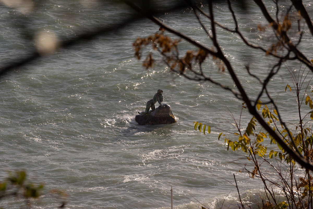 Русалочка. - Дмитрий А