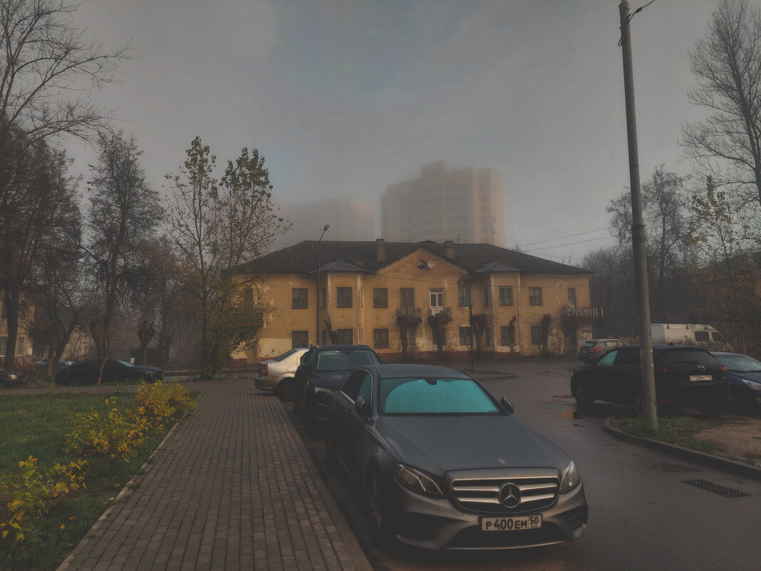 туманные контрастности - Артём туманные контрастности - Артём