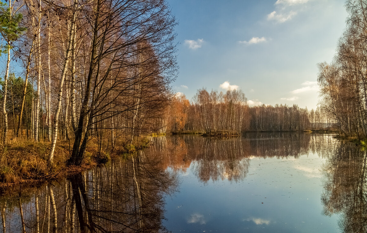 Осень не сдаётся 3 - Андрей Дворников