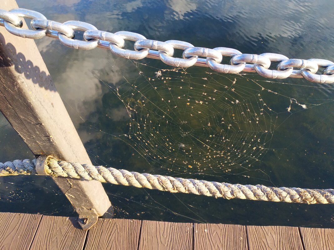 Тема с вариацией - Андрей Лукьянов