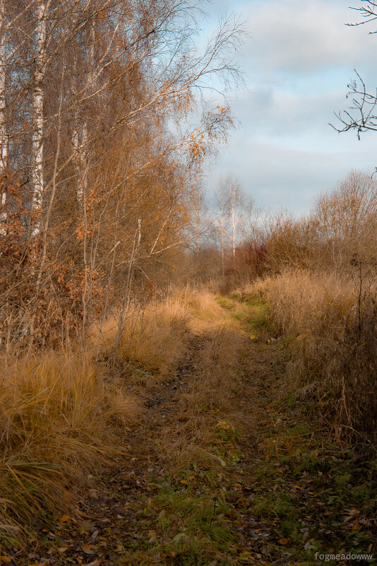 Тропинка - fogmeadowww m