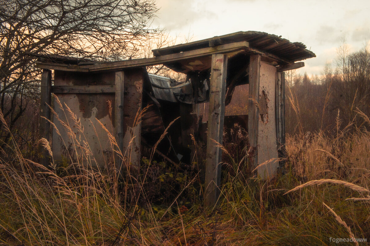 Заброшка - fogmeadowww m