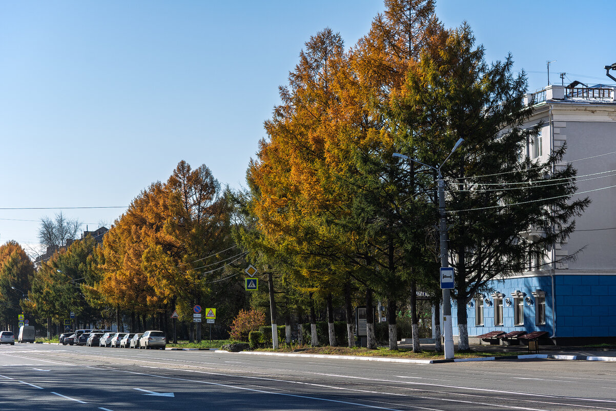 Вот и осень пришла - Виктор Иванович Чернюк