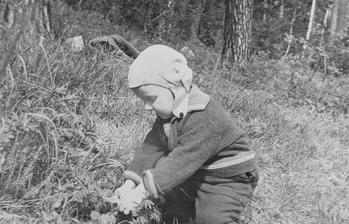 Ягодная полянка - Андрей Хлопонин Ягодная полянка - Андрей Хлопонин