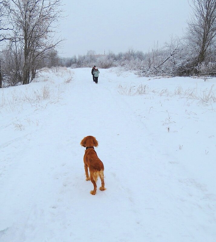 С нечеловеческим терпением ) - Natali 